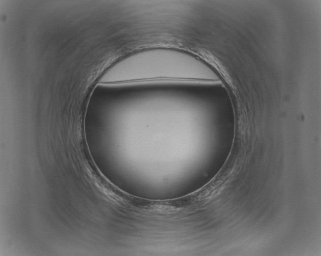 X0000073410393200607280915