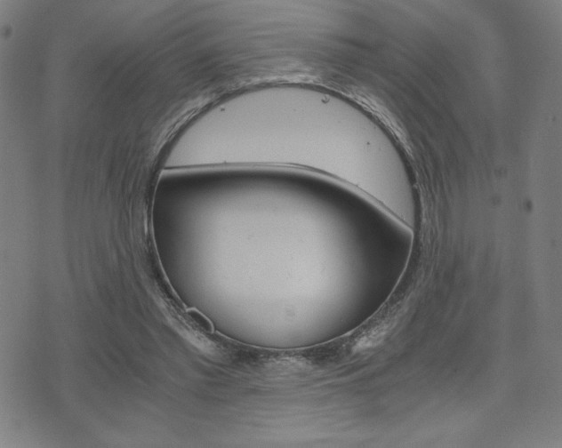 X0000073410397200607280915