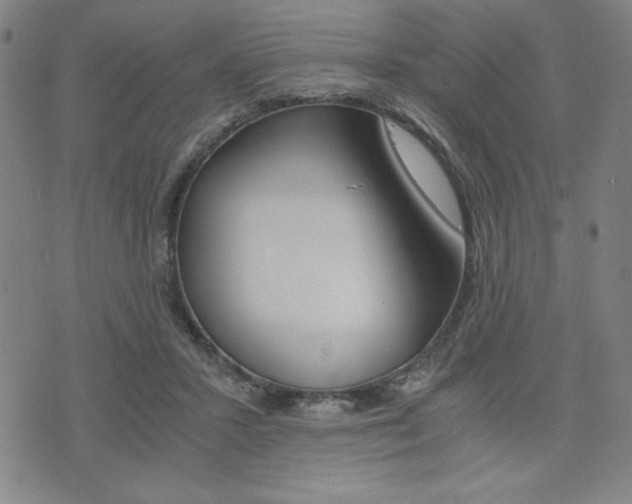 X0000073410407200607280915
