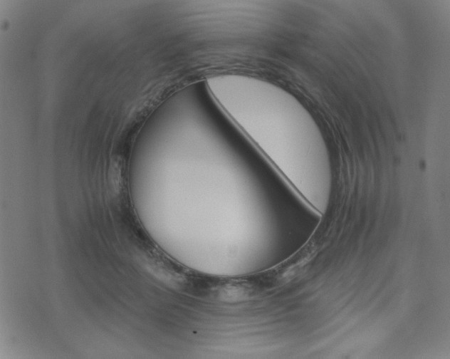 X0000073410412200607280915