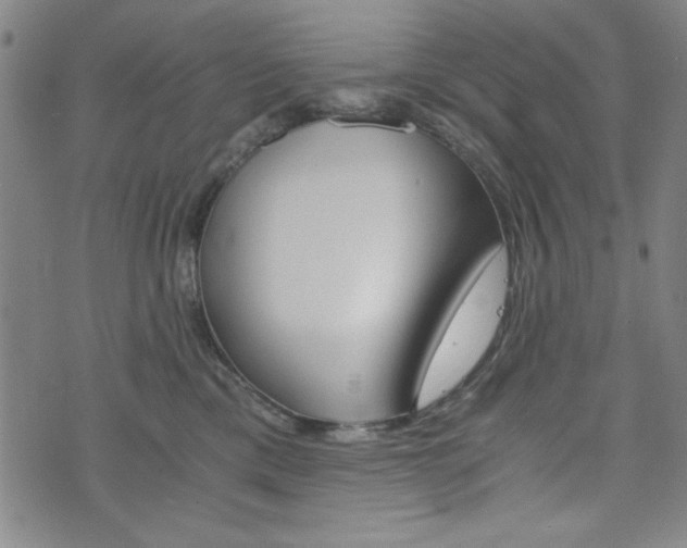 X0000073410425200607280915
