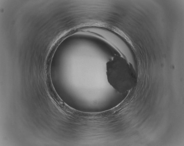 X0000073410436200607280914