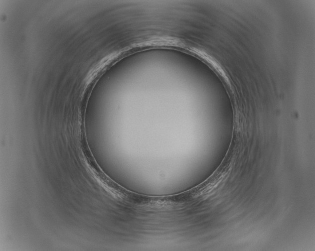 X0000073410437200607280914