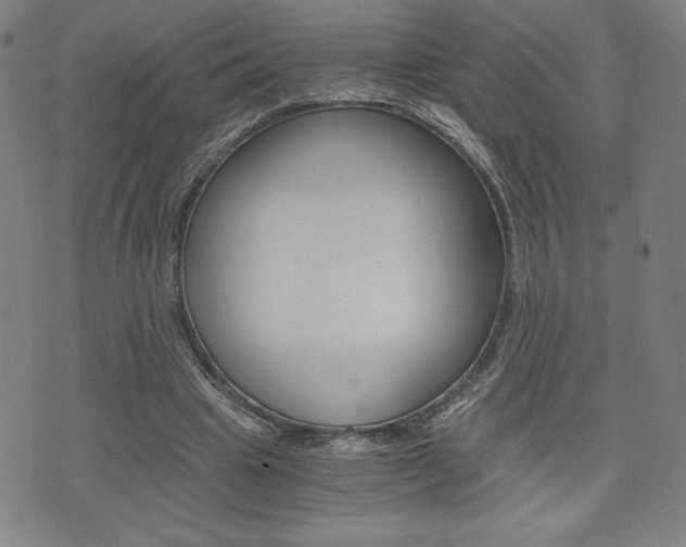 X0000073410441200607280914