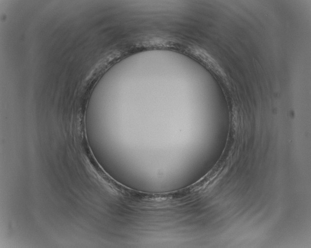X0000073410449200607280914
