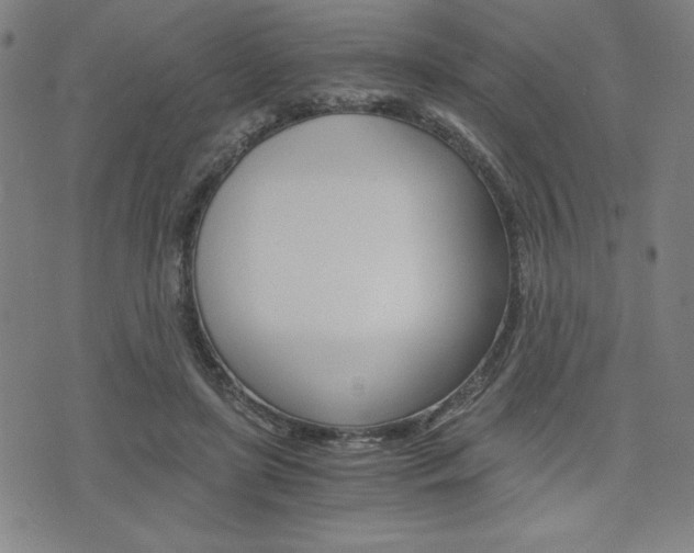 X0000073410451200607280914