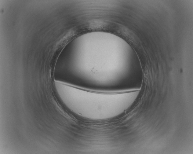 X0000073410454200607280914