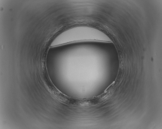 X0000073410456200607280914
