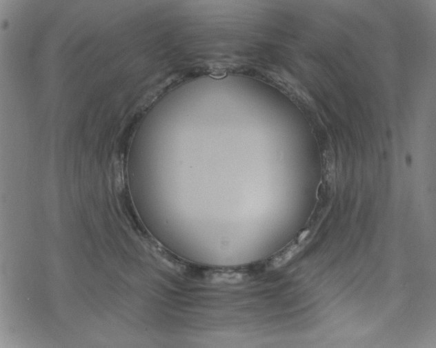 X0000073410471200607280914