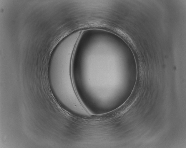 X0000073410481200607280914