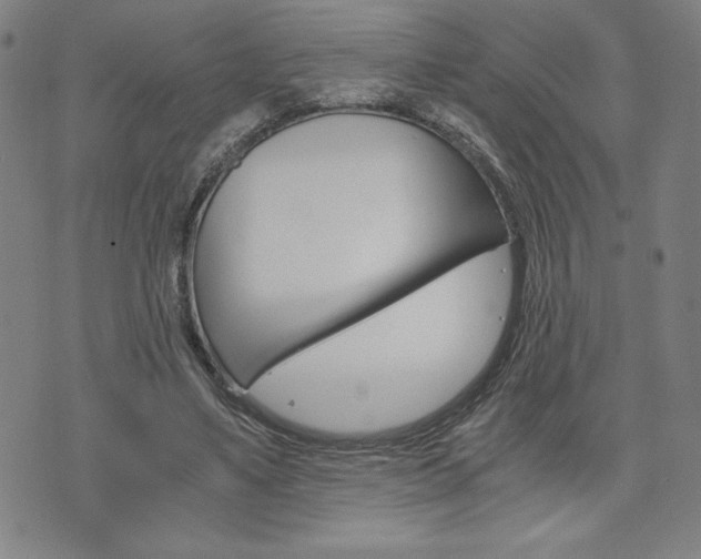 X0000073410491200607280914