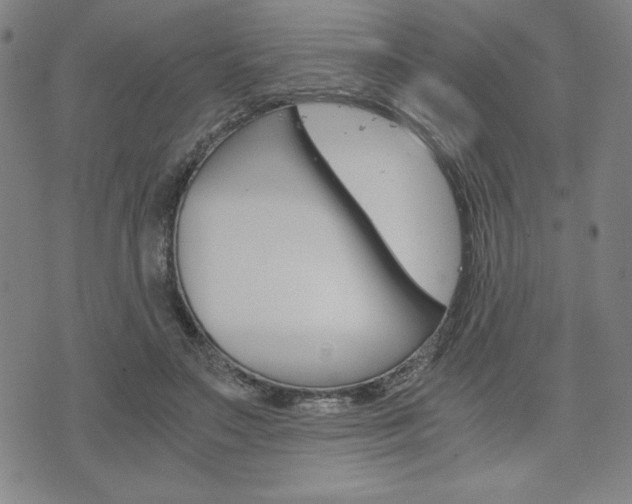 X0000073410499200607280914
