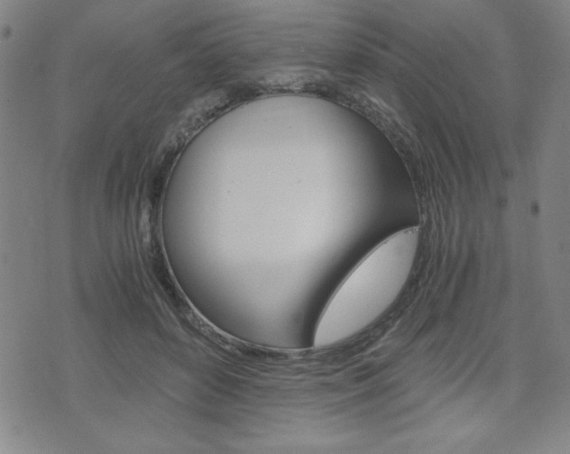 X0000073410504200607280913