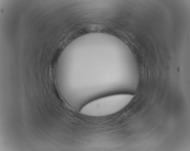 X0000073410511200607280913