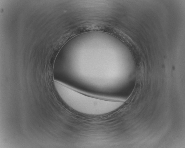 X0000073410513200607280913