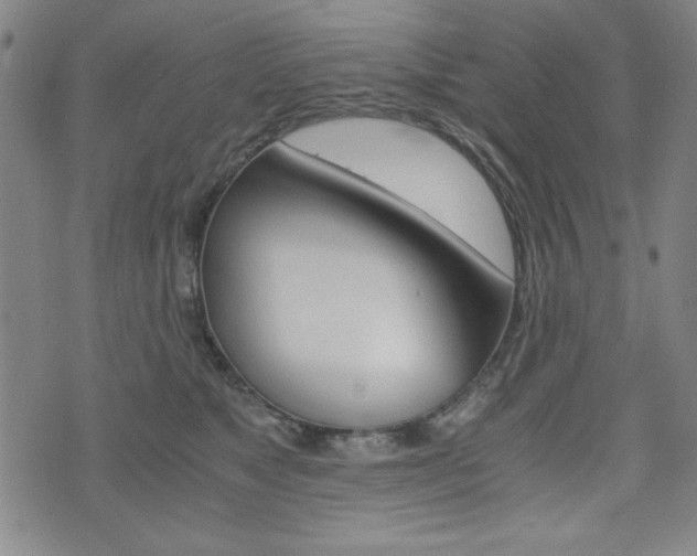 X0000073410517200607280913