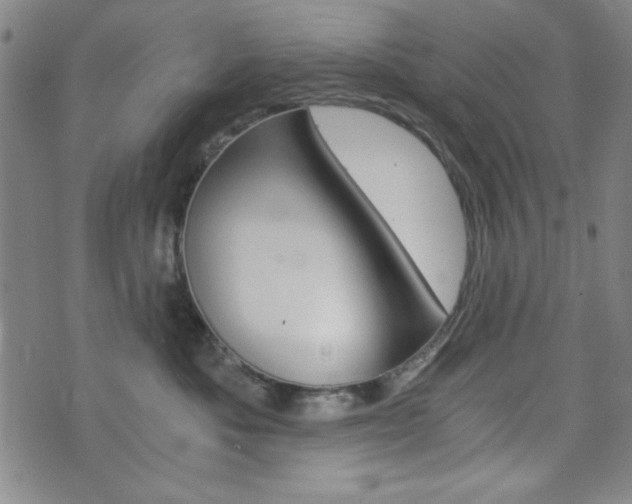 X0000073410525200607280913