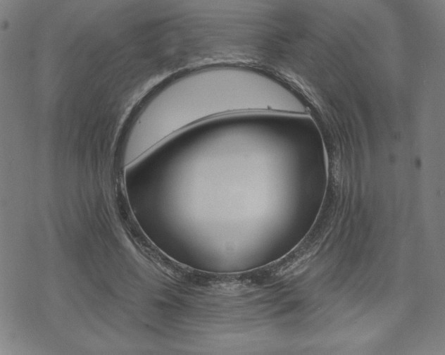 X0000073410540200607280912