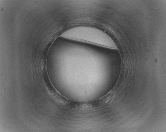 X0000073410546200607280913