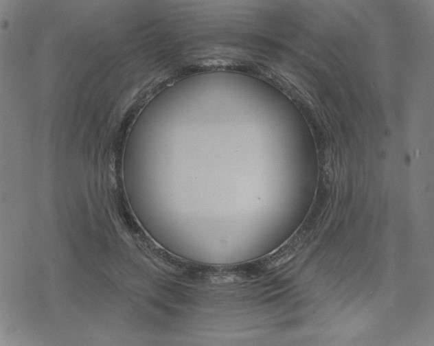 X0000073410547200607280913