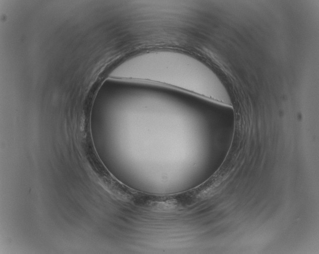 X0000073410548200607280913