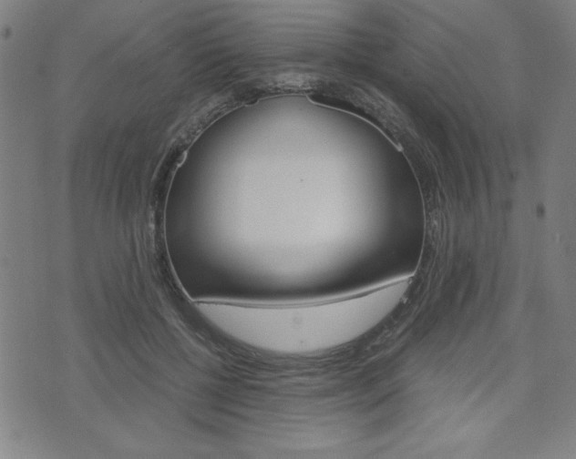 X0000073410552200607280913