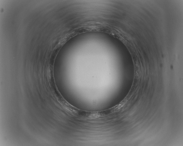 X0000073410562200607280913