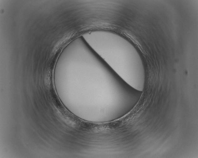 X0000073410586200607280912