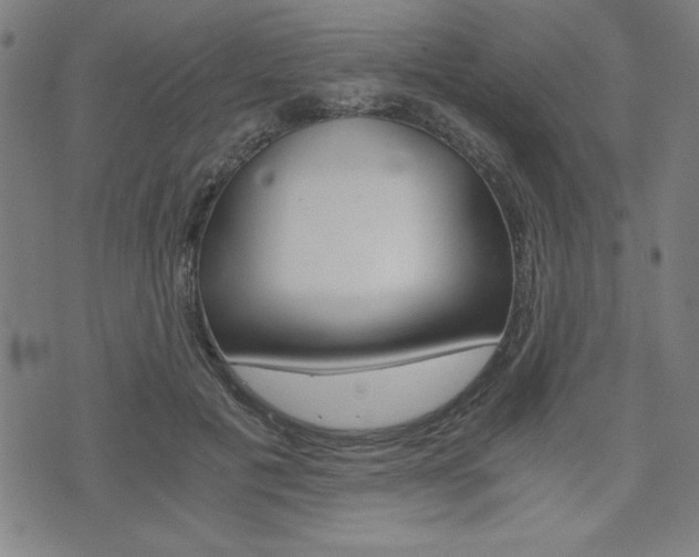 X0000073410601200607280912