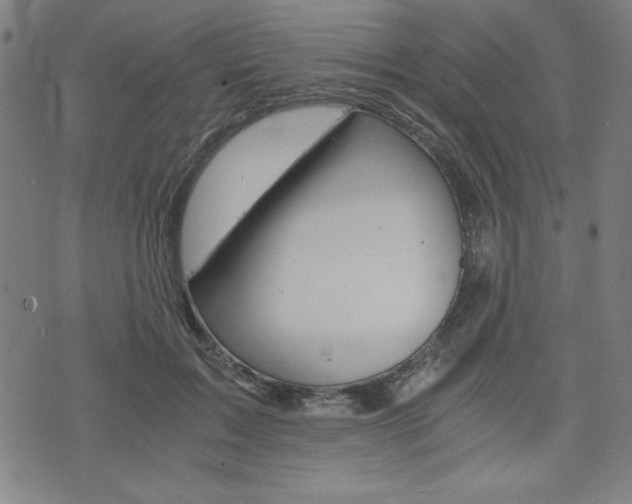 X0000073410603200607280912