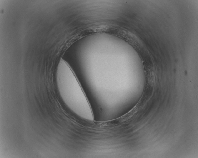 X0000073410604200607280912