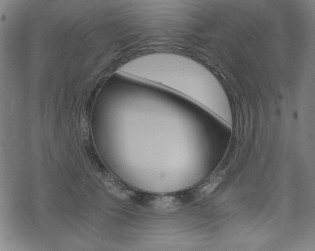 X0000073410609200607280912