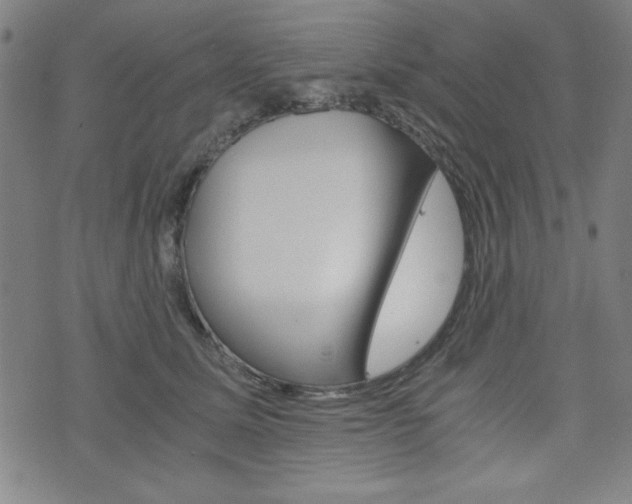 X0000073410611200607280912