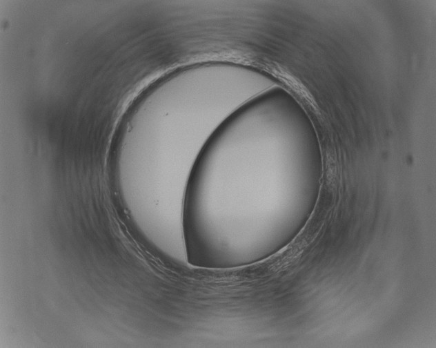 X0000073410628200607280911