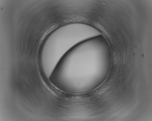 X0000073410634200607280911