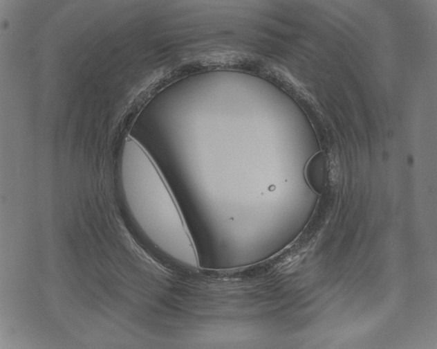 X0000073410637200607280911