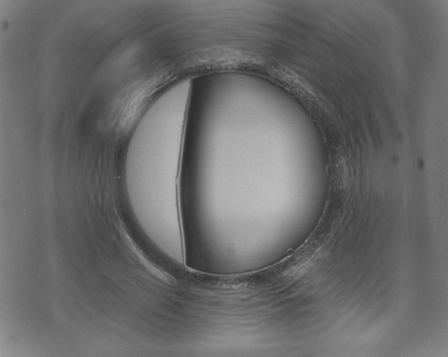 X0000073410638200607280911