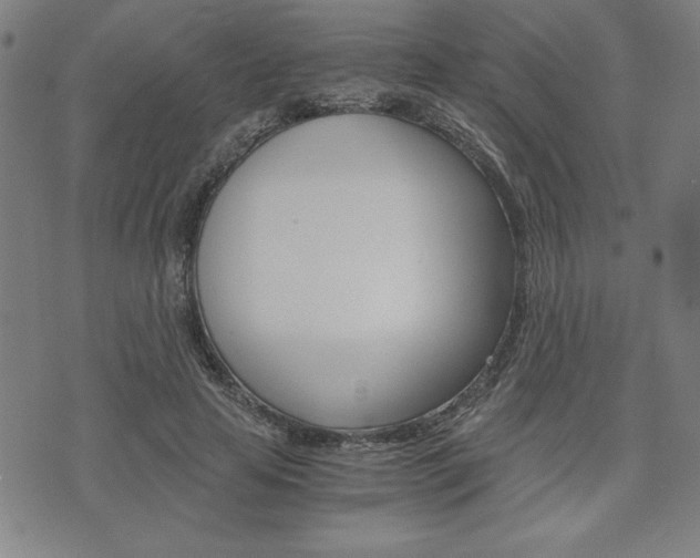 X0000073410641200607280911