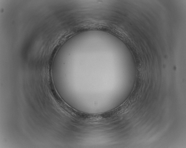 X0000073410642200607280911