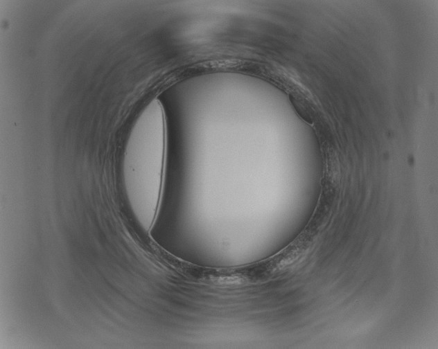 X0000073410645200607280911