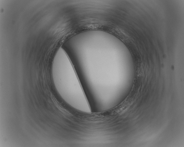 X0000073410646200607280911