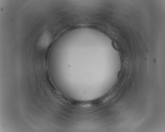 X0000073410651200607280911