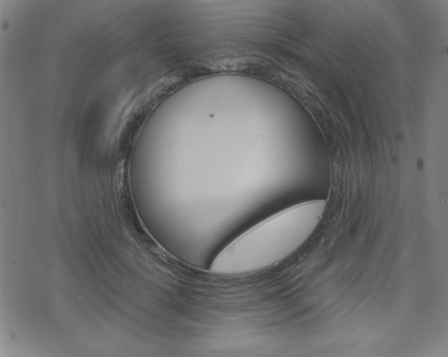 X0000073410652200607280911