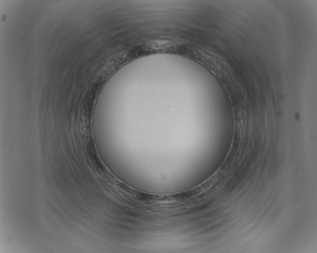 X0000073410653200607280911