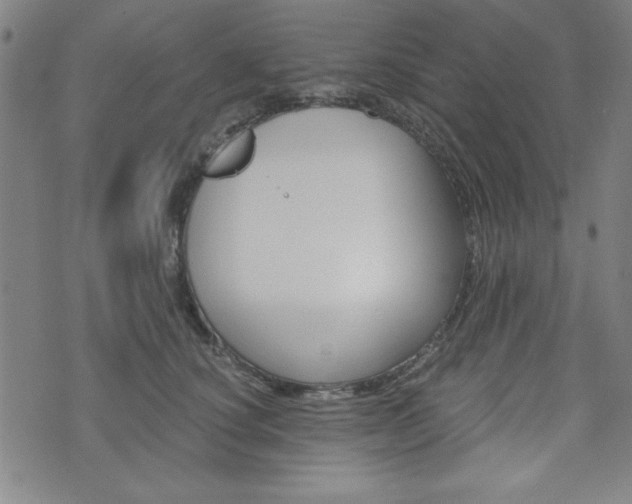 X0000073410660200607280911