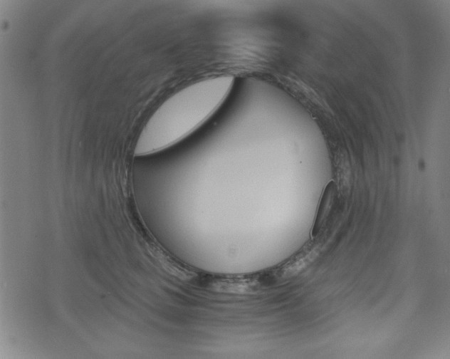 X0000073410661200607280911