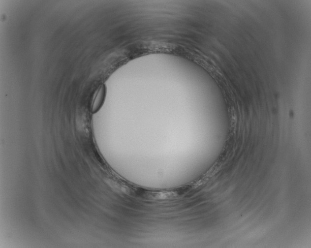 X0000073410663200607280911