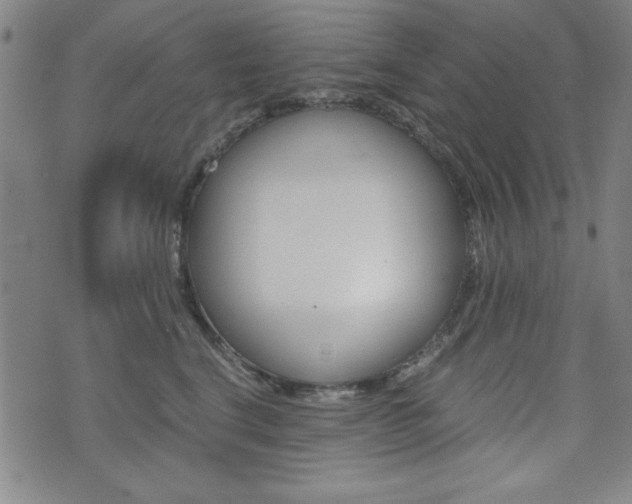 X0000073410664200607280911