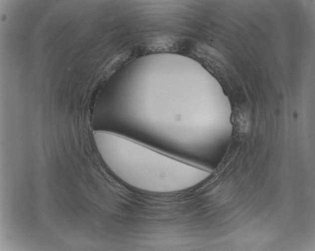 X0000073410665200607280911