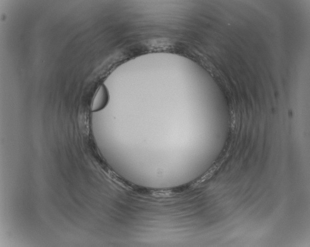 X0000073410666200607280911